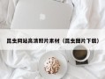 阿勒泰昆虫网站高清照片素材（昆虫图片下载）